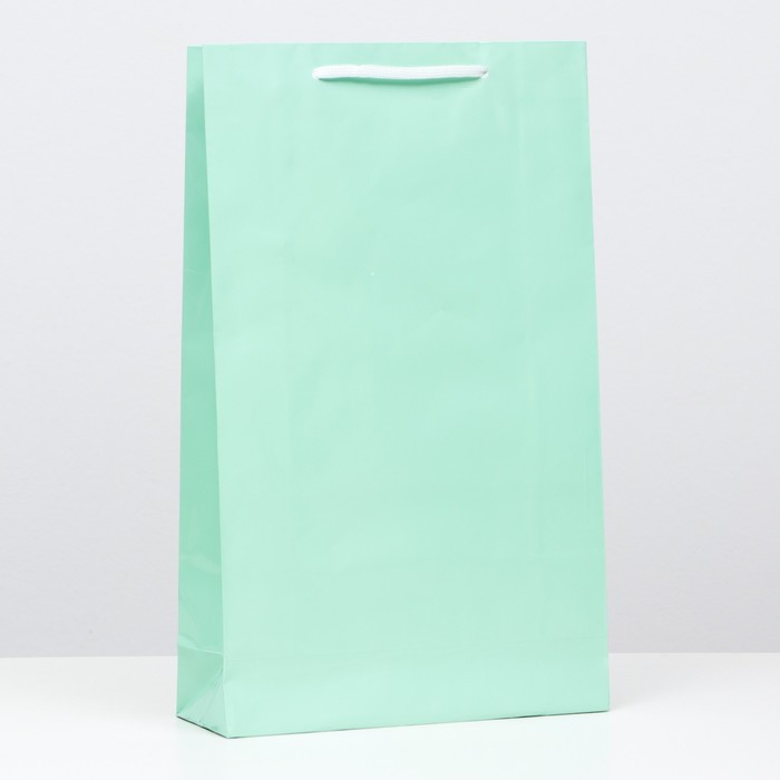Пакет ламинированный, зелёный, 40,5 х 24,8 х 9 см, набор 12 шт.
