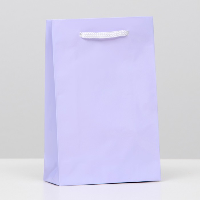 Пакет ламинированный, фиолетовый, 17,5 х 11,5 х 5 см, набор 12 шт.