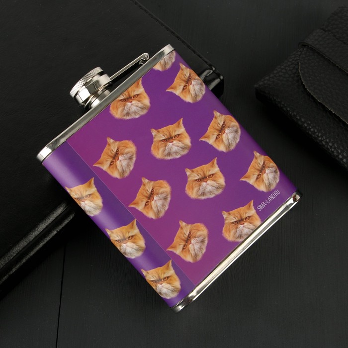 

Фляжка "Нету сил", 210 мл