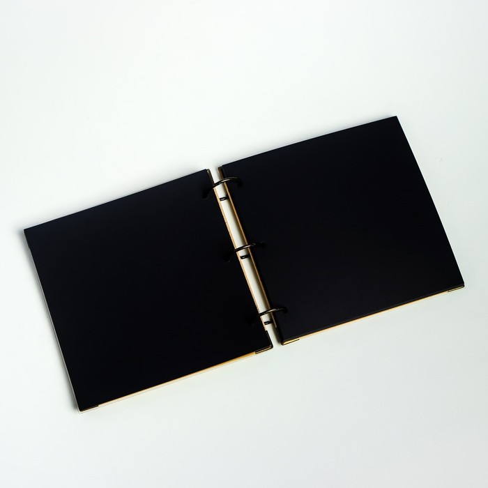 Фотоальбом на кольцах 30 листов "Девушка с фотоаппаратом" чёрные листы 18,5х18,5 см