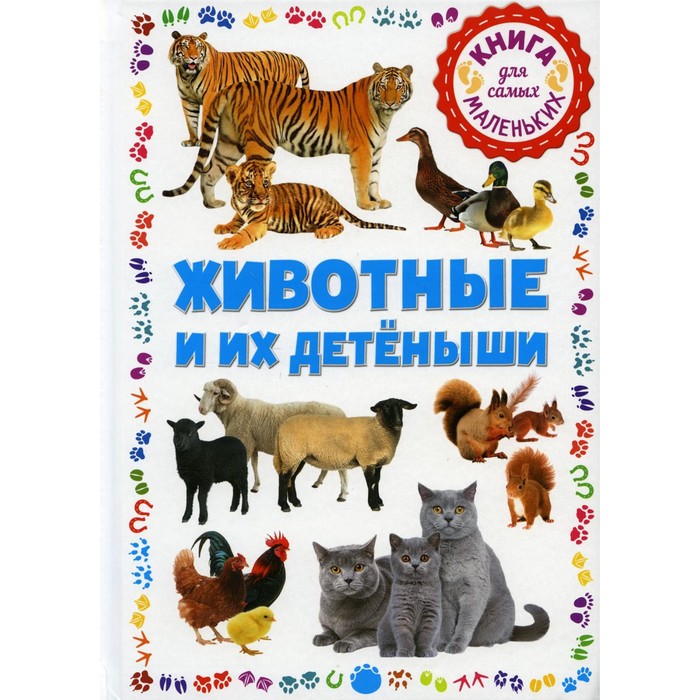 

Животные и их детеныши