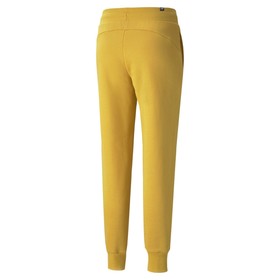 

Брюки женские Puma Essential Sweatpants Fl Cl (58684137)
