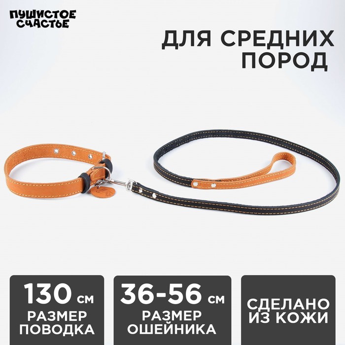 

Комплект : ошейник (36-56х2.5 см) и поводок (130х1.5 см), цвет бежевый и чёрный