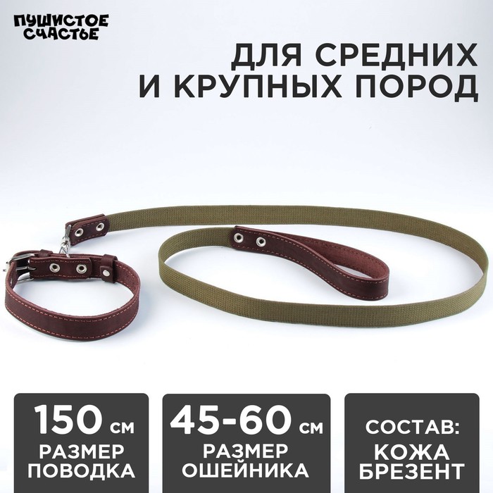 

Комплект : ошейник (45-60х2.5 см) кожаный и поводок (150х2.5 см) брезентовый, цвет коричневый