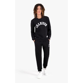 

Джемпер мужской Champion Rochester Bookstore Crewneck Sweatshirt, размер 44-46 (216570-KK001) 76