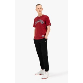 

Футболка мужская Champion Rochester Bookstore Crewneck T-Shirt, размер 44-46 (216575-RS506) 7685