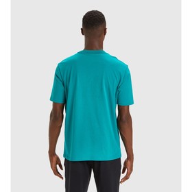 

Футболка мужская Diadora T-SHIRT SS SHIELD, размер 46-48 (DR10217774870079)