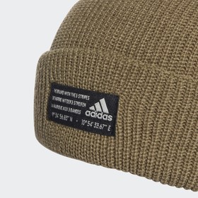 

Шапка мужская Adidas Perf Woolie, размер 54-55 (GS2112)