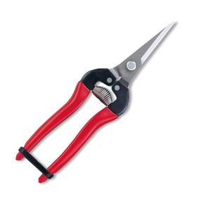 

Садовые ножницы для срезания фруктов, длина 7.5" (19 см)