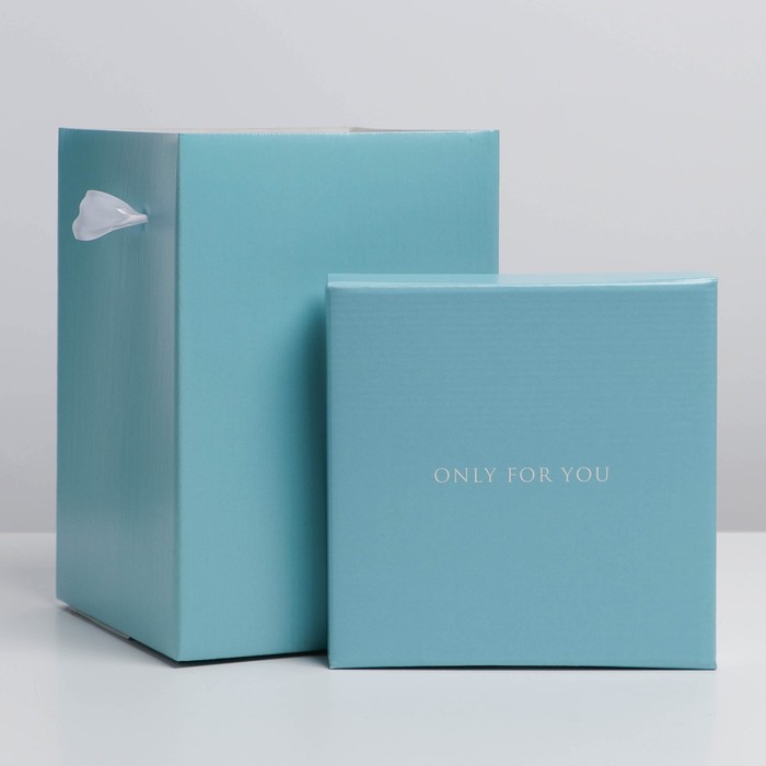 

Коробка складная «Present», 17 х 25 см