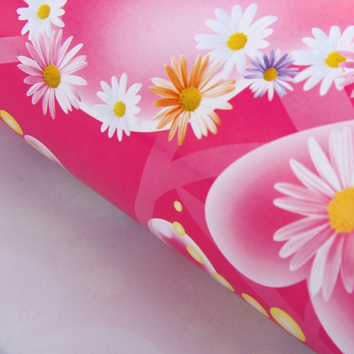 Бумага упаковочная "Сердца из ромашек", 52 х 76 см