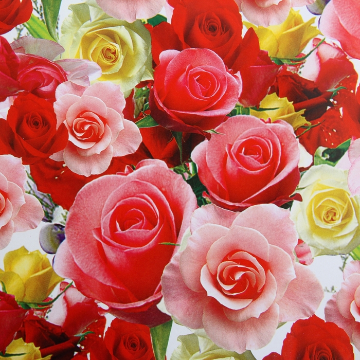 Бумага упаковочная "Цветы для любимых", 52 х 76 см