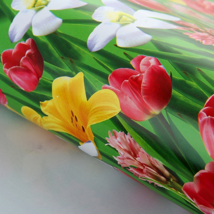 Бумага упаковочная &quot;Поляна&quot;, 52 х 76 см