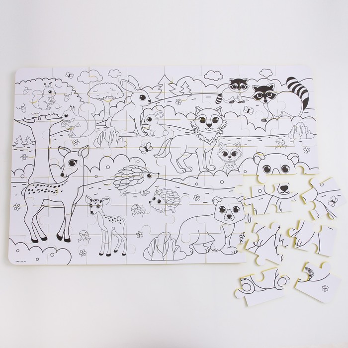 Развивающий коврик - пазл Разукрашка, раскраска, 50х33 см, 28 деталей, виды МИКС