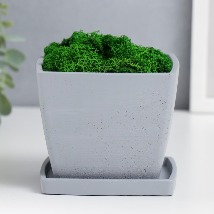 

Кашпо бетонное "Классика" с подставкой высота 9,5 см серое со мхом (мох зеленый стабилиз.)