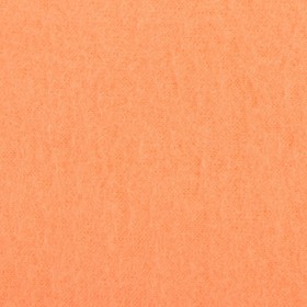 

Плед "Экономь и Я" Коралловый 150*180 см, пл.160 г/м2, 100% п/э