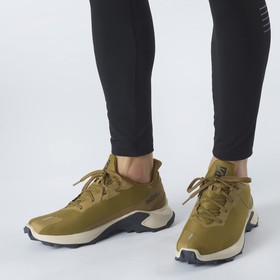 

Кроссовки мужские Salomon Alphacross 3, размер 44 (L41445800)