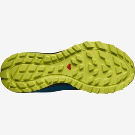 

Кроссовки мужские Salomon SHOES TRAILSTER 2 GTX, размер 40 (L40963700)