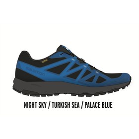 

Кроссовки мужские Salomon Xa Siwa GTX, размер 43 (L41379900)