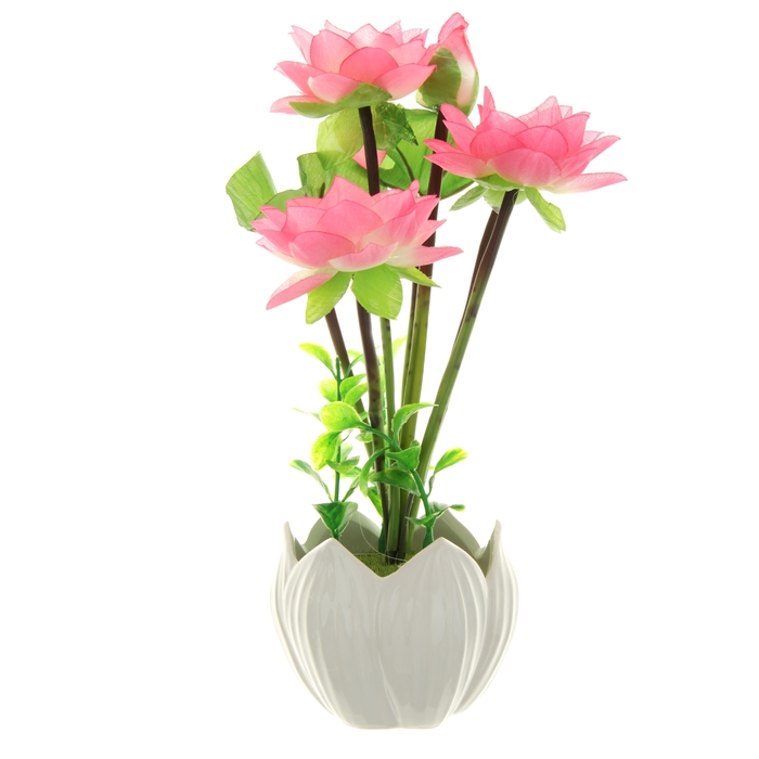 Композиция в горшке-тюльпане "Лотос" (микс)