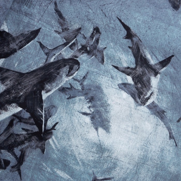 фото Постельное белье этель 1.5 сп shark 143*215 см,150*214 см, 70*70 см 2 шт, бязь