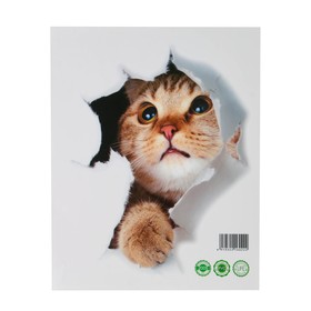 Наклейка 3Д интерьерная Кошка 25*23см Ош
