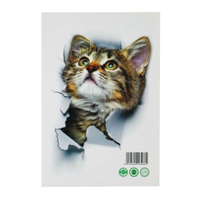 Наклейка 3Д интерьерная Кошка 25*17см