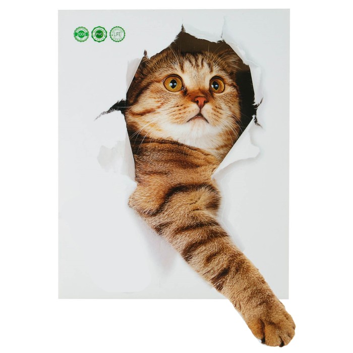 цена Наклейка 3Д интерьерная Кошка 25*20см