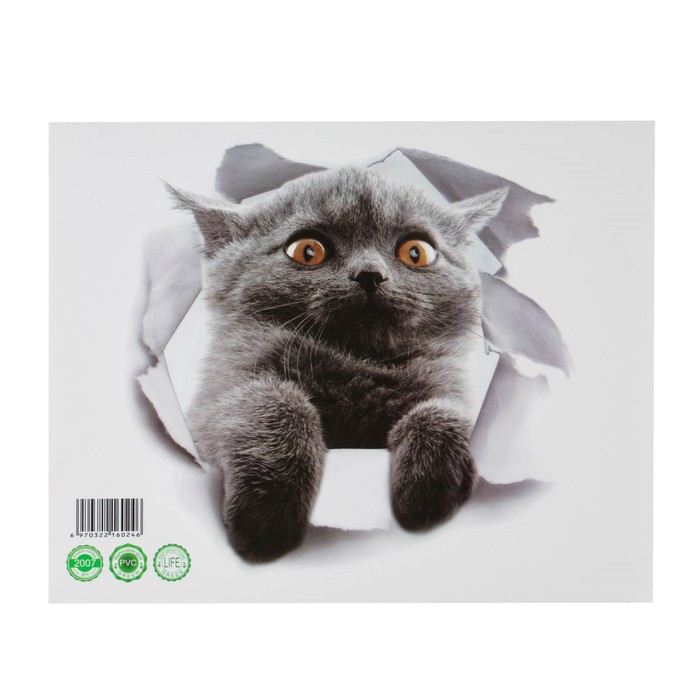 

Наклейка 3Д интерьерная Кошка 25*23см