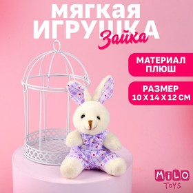 Мягкая игрушка "Прекрасная зайка" цвета МИКС