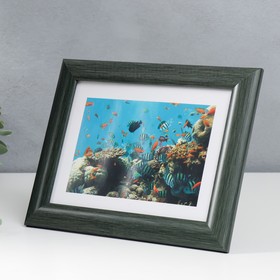 

Фоторамка пластиковая 15х21 см 742 серо-зеленый (пластиковый экран)
