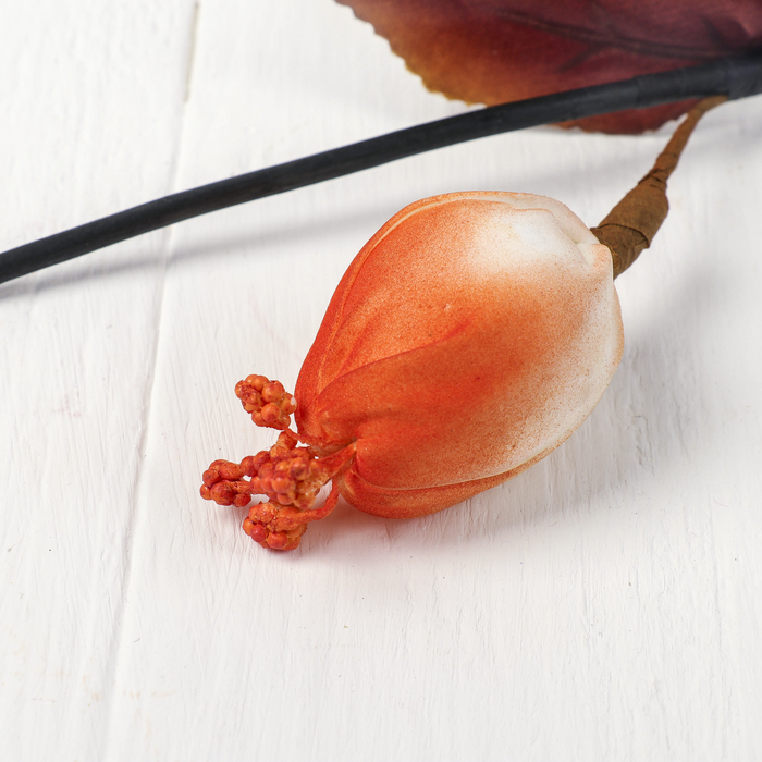 Декоративная ветка "Закрытые бутоны" микс