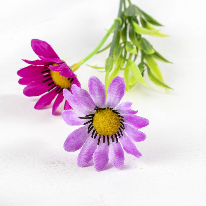 Декоративная ветка "Лоза с ромашками" (микс)