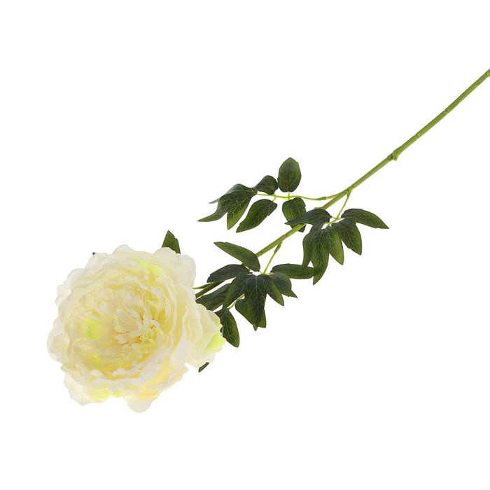 Цветок искусственный "Пион Этчед Самон" белый