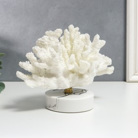Сувенир интерьерный полистоун "Белоснежный коралл" 16,5х12х23 см от Сима-ленд