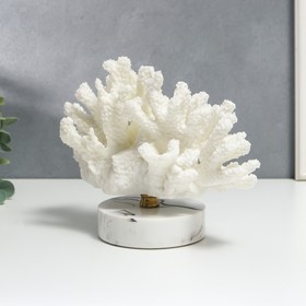Сувенир интерьерный полистоун "Белоснежный коралл" 16,5х12х23 см от Сима-ленд