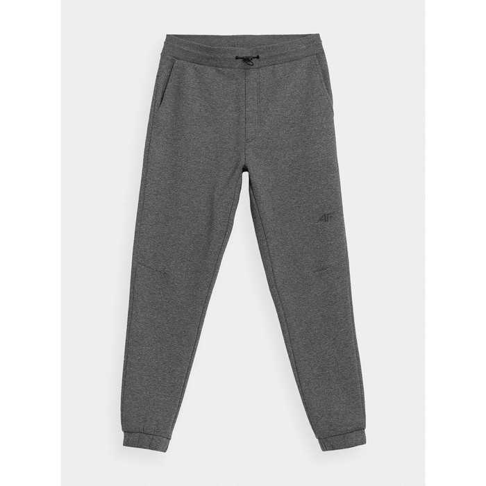 фото Брюки мужские 4f men's sweatpants, размер 50 (h4z21-spmd011-24m)