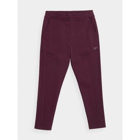 

Брюки мужские 4F MEN'S SWEATPANTS, размер 50 (H4Z21-SPMD017-60S)