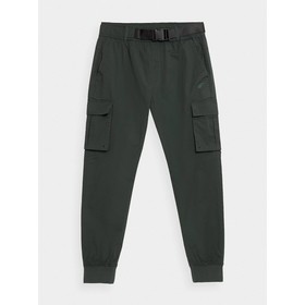 

Брюки мужские 4F TROUSERS CAS, размер 46 (H4Z21-SPMC012-43S)