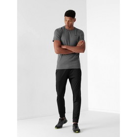 

Брюки мужские 4F Men'S Functional Trousers, размер 46 (NOSH4-SPMTR350-20S)