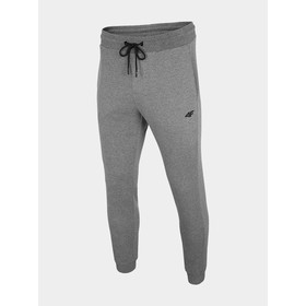 

Брюки мужские 4F Men'S Sweatpants, размер 46 (NOSH4-SPMD351-24M)
