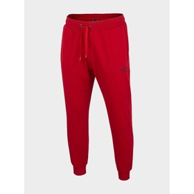 

Брюки мужские 4F Men'S Sweatpants, размер 48 (NOSH4-SPMD350-62S)