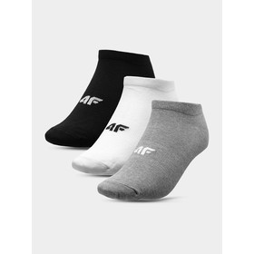 

Носки мужские 4F, размер 39-42 EUR (NOSH4-SOM302-27M+10S+20)