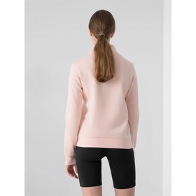

Толстовка женская 4F Women'S Sweatshirts, размер 46 (NOSH4-BLD351-65S)