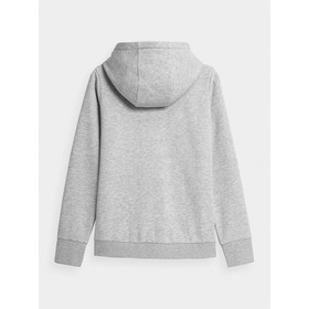 

Толстовка женская 4F WOMEN'S SWEATSHIRTS, размер 46 (NOSH4-BLD353-27M)