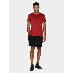 

Футболка мужская 4F MEN'S FUNCTIONAL T-SHIRTS, размер 48 (NOSH4-TSMF352-62M)