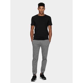 

Футболка мужская 4F MEN'S FUNCTIONAL T-SHIRTS, размер 52 (NOSH4-TSMF351-20S)