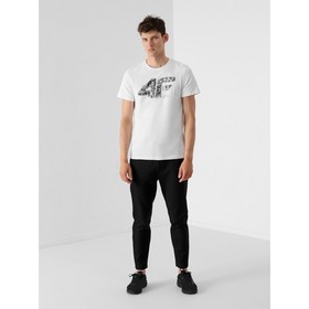 

Футболка мужская 4F, размер 54 (H4Z21-TSM012-10S)