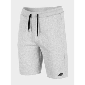

Шорты мужские 4F Men'S Shorts, размер 48 (NOSH4-SKMD350-27M)