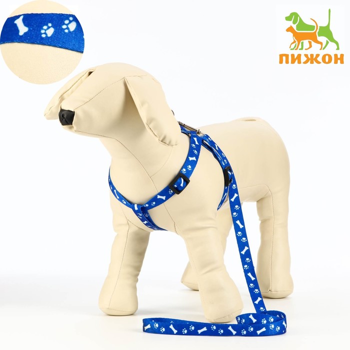 

Комплект капроновый "Косточки и лапки", поводок 120 х 1,5 см, ОГ 30-44 см, синий